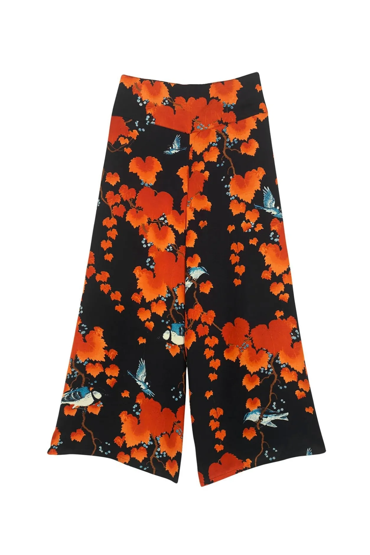 Women One Hundred Stars Acer Black Palazzo Pant