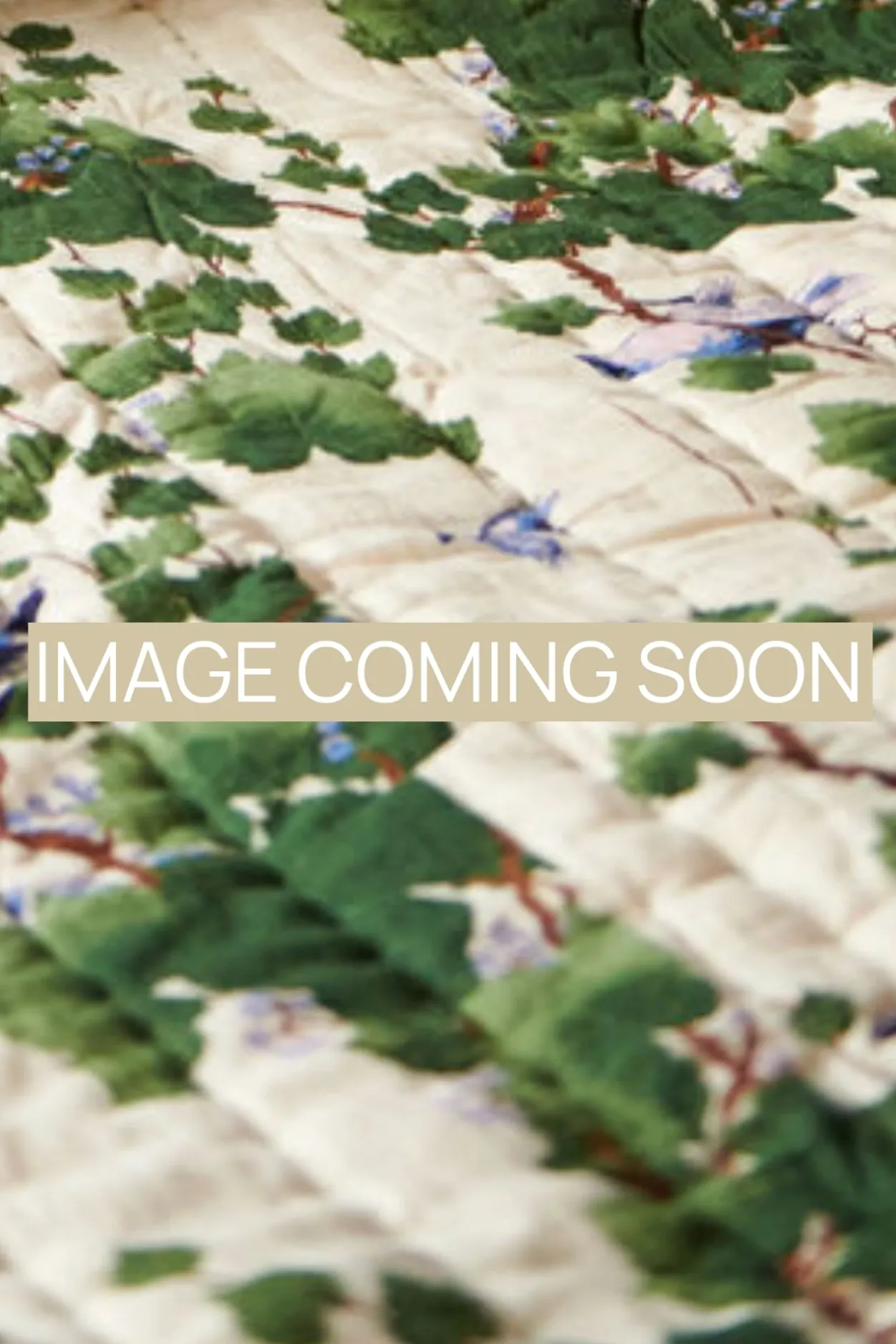 One Hundred Stars Acer Green Velvet Throw