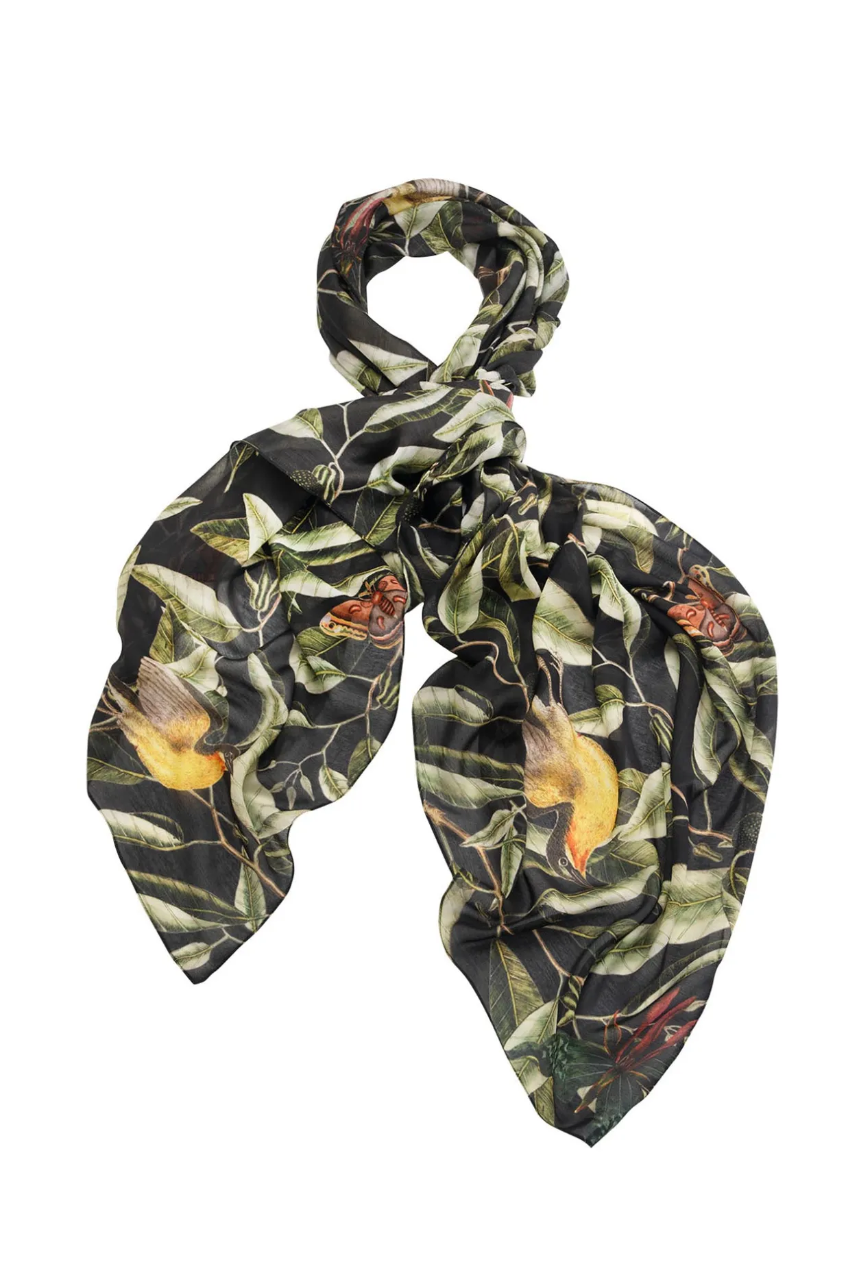 One Hundred Stars Kew Evergreen Black Scarf