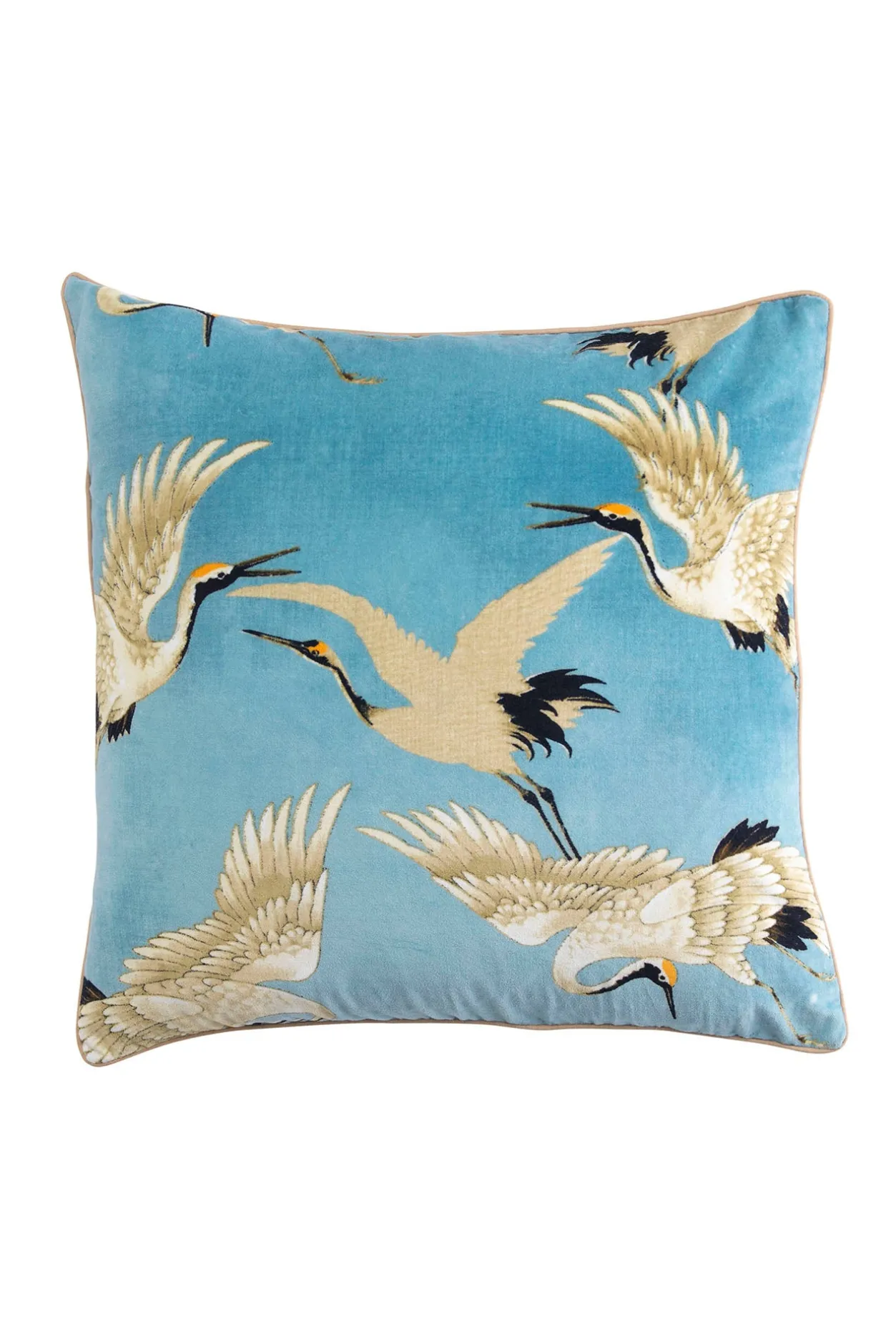 One Hundred Stars Stork Sky Square Velvet Cushion
